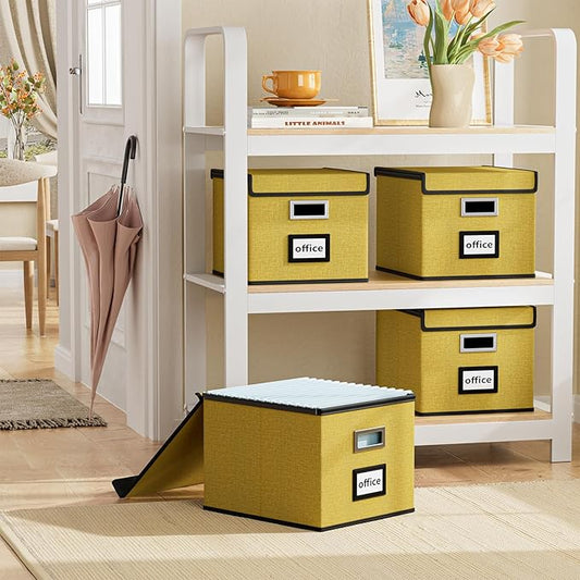 Huolewa File Organizer Box with Lid, Collapsible File Folder Organizer for Office Document Storage, Filing Box with Plastic S