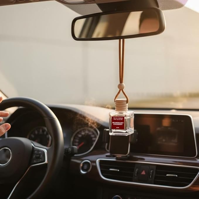 4 Pack Air fresheners | Long lasting car air fresheners, Hand-made in USA | Small room diffuser | Small Business Woman Owned.
