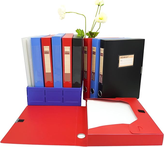 Foldable A4 Document Box with Lid, Pack of 3 Plastic Archive Cases, 31x24x4cm, File Folder Organizer Document Storage File Bo