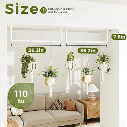 Bamworld Hanging Planters 2PCS for Indoor Plants Hanging Plant Holder Plant Hanger Indoor Ceiling Window Plant Shelves Wall M