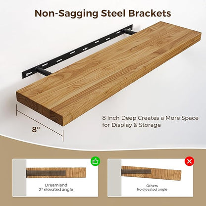 Dreamland 24 Inch Floating Shelves, Rustic Elm Wood Wall Shelf for Home Decor, 8 Inch Deep Floating Shelf for Wall, 24 x 8 Ba