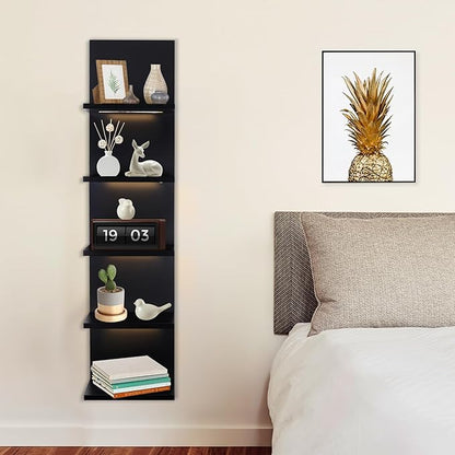 5 Tier Wall Shelf Unit, Black Shelves,Lack Shelf, Wall Shelves for Bedroom，Office,Bathroom, Vanity Shelves with LED Remote Co