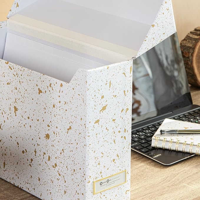 Bigso Lovisa Fiberboard Label Frame 12 File Storage Box - Paperwork Storage Box with Metal Label Holder - Durable Document Or