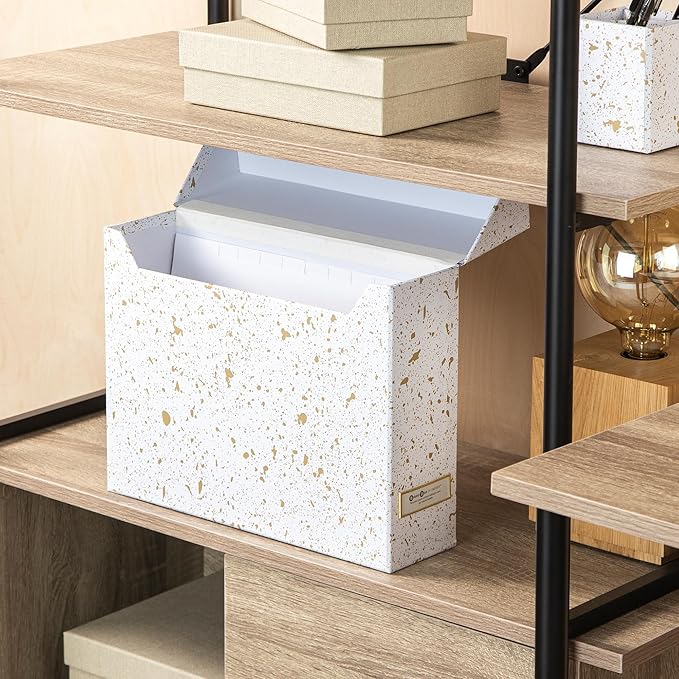 Bigso Lovisa Fiberboard Label Frame 12 File Storage Box - Paperwork Storage Box with Metal Label Holder - Durable Document Or