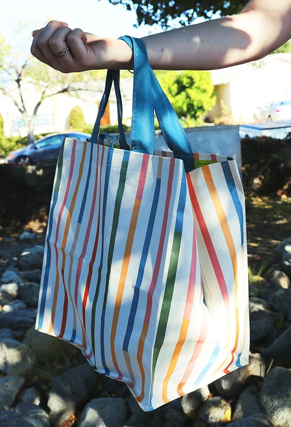 Earthwise Reusable Grocery Shopping Bags Extremely Durable Multi Use Large Stylish Fun Foldable Water-Resistant Totes in Spri