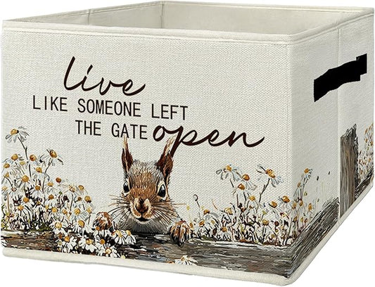 Rustic Squirrel Storage Bins & Boxes with Handles, Farmhouse Squirrel Foldable Basket for Organizing, Live Like Someone Left 