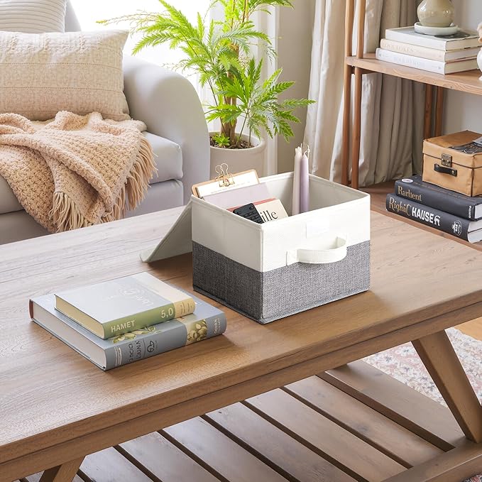 GRANNY SAYS Small Storage Bins with Lids, Small Storage Boxes, Shelf Baskets for Shelf, Collapsible Storage Bins for Living R