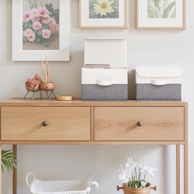 GRANNY SAYS Small Storage Bins with Lids, Small Storage Boxes, Shelf Baskets for Shelf, Collapsible Storage Bins for Living R