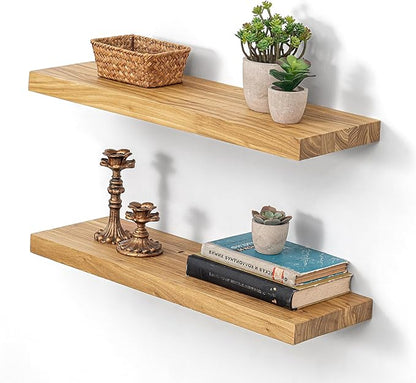 Dreamland 24 Inch Floating Shelves, Rustic Elm Wood Wall Shelf for Home Decor, 8 Inch Deep Floating Shelf for Wall, 24 x 8 Ba