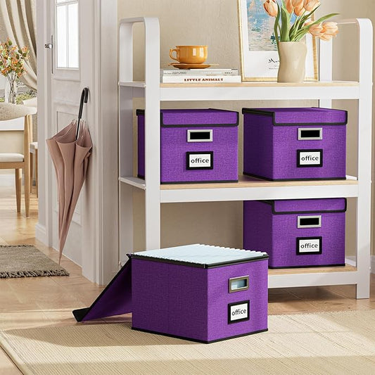 Huolewa File Organizer Box with Lid, Collapsible File Folder Organizer for Office Document Storage, Filing Box with Plastic S