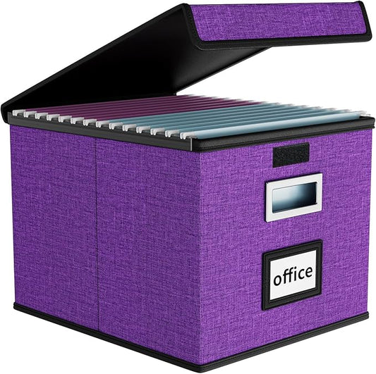Huolewa File Organizer Box with Lid, Collapsible File Folder Organizer for Office Document Storage, Filing Box with Plastic S