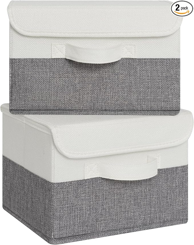 GRANNY SAYS Small Storage Bins with Lids, Small Storage Boxes, Shelf Baskets for Shelf, Collapsible Storage Bins for Living R