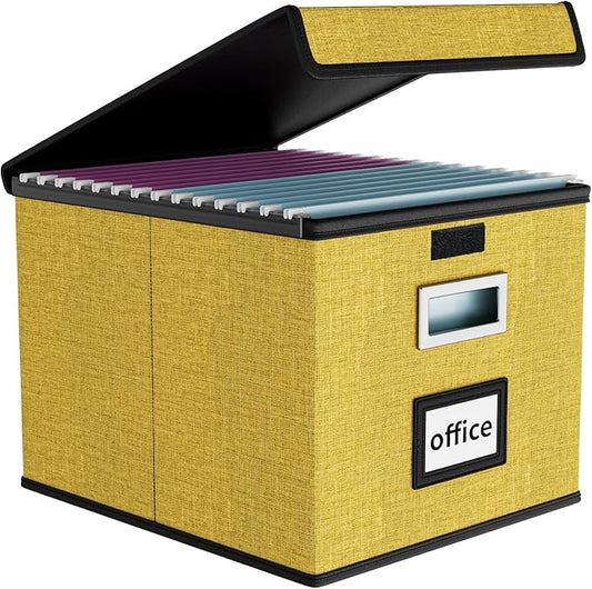 Huolewa File Organizer Box with Lid, Collapsible File Folder Organizer for Office Document Storage, Filing Box with Plastic S