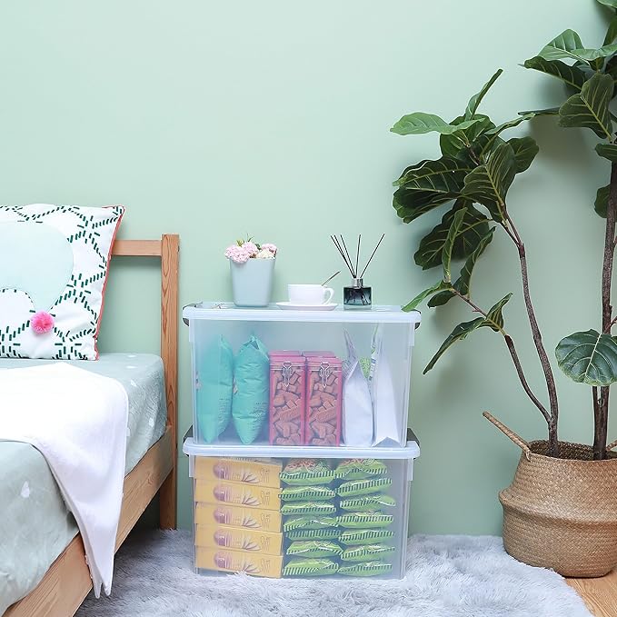 Citylife 58.1 QT Plastic Storage Bins with Latching Lids Stackable Storage Containers for Organizing Large Clear Storage Box 